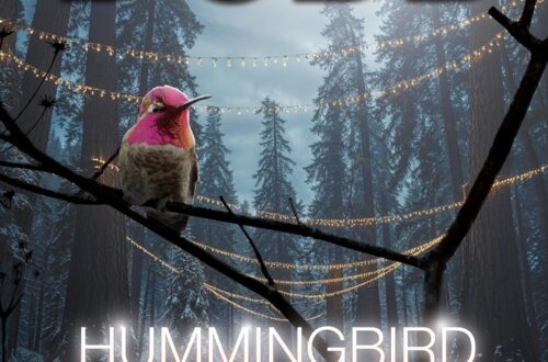 Hummingbird Moonrise (Murder, Tea & Crystals - A Trilogy Book 3) Book 3 of 3: Murder, Tea & Crystals - A Trilogy by Sherri L. Dodd